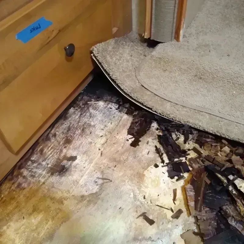 Wood Floor Water Damage in White Horse, NJ